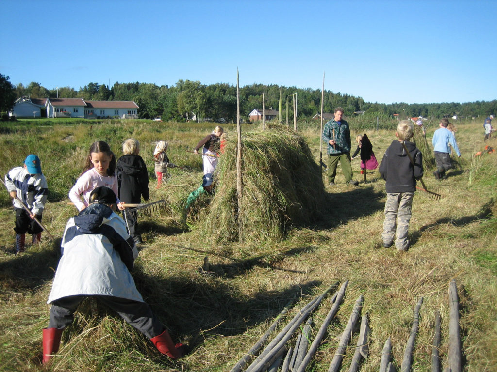 Slåtter på Rossö
